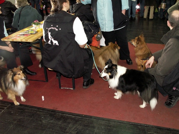 Heimtiermesse 2009   077.jpg